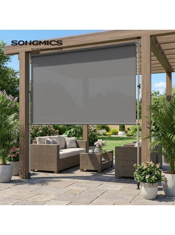 SONGMICS Seitenmarkise Sheld in Grau - (B)200 x (H)(220-300) x (T)0.1 cm