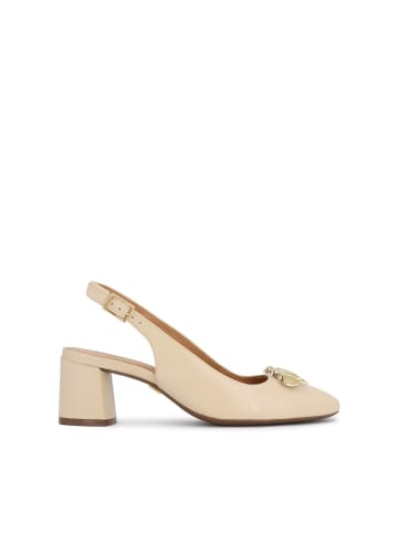 Kazar Pumps in Beige