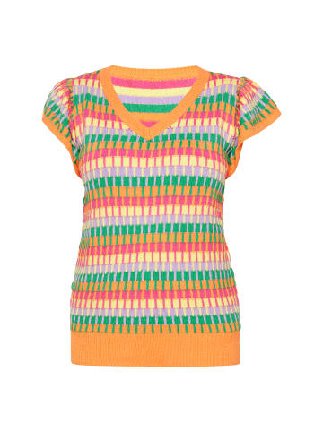 usha BLUE LABEL Sweater in multicolour orange