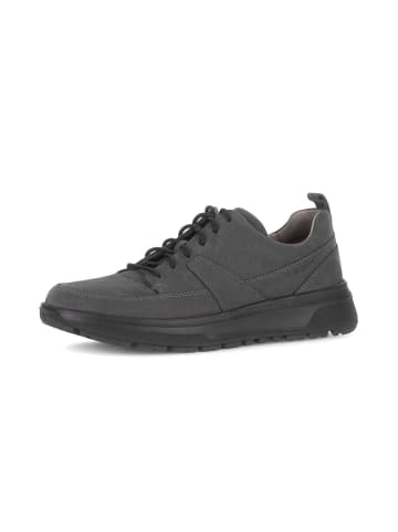 Pius Gabor Schnürschuhe in grau