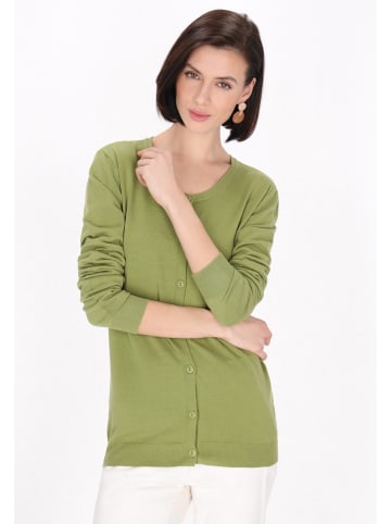 Usha Women Cardigan in light green