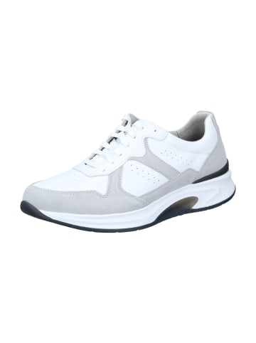 Pius Gabor Schnürschuhe, Sneakers Low in lt.grey/white