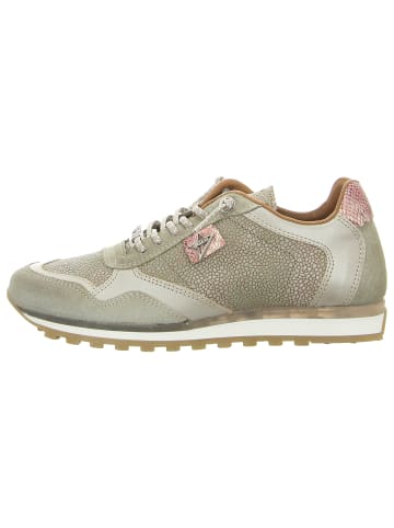 Cetti Sneaker in grün