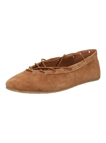 Steve Madden Ballerinas in Chestnut