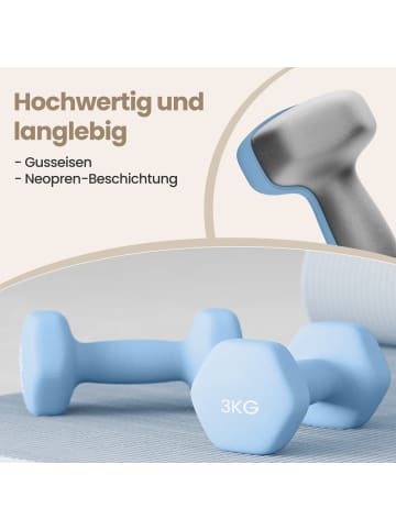 SONGMICS 2er-Set: Hanteln Stefan in Blau - (B)9 x (H)8.5 x (T)20 cm