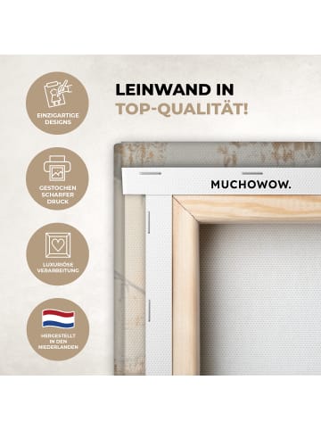 MuchoWow Leinwand bilder Esel (BxH)
