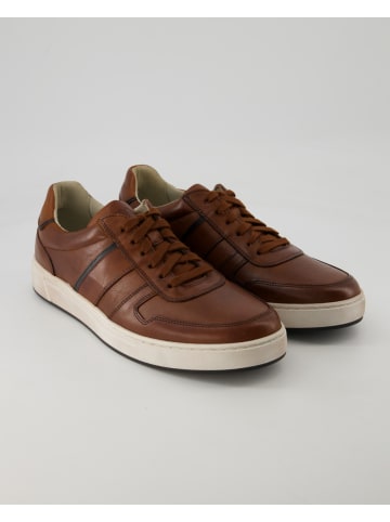 Pius Gabor Sneaker low in Braun