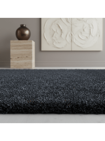 KADIMA DESIGN Teppich Hochflor Shaggy Waschbar Einfarbig SALZACH Strapazierfähig in Anthrazit
