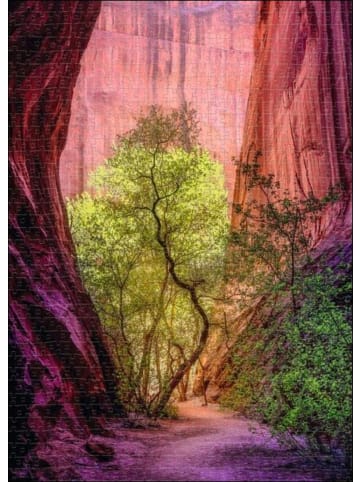 HEYE Singing Canyon Puzzle 1000 Teile