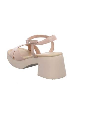 Wonders  Sandalen in Beige