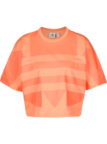 adidas T-Shirts in chalk coral