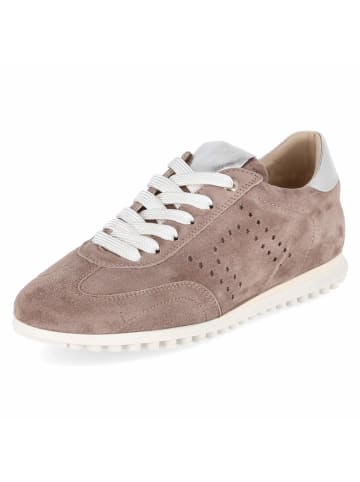 Kaerlek Low Sneaker AVRIL in taupe