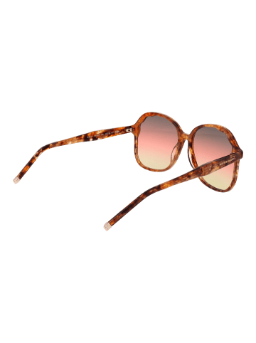 Scotch & Soda Damen Sonnenbrillen Schmetterling Braun