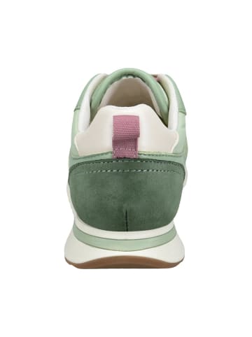 TT. BAGATT Sneaker in grün