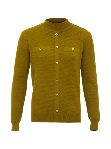 faina Women Sweater in Oliv