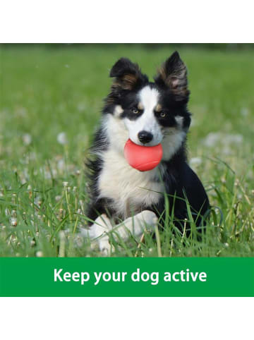 Intirilife Hunde Gummiball 7cm in KNALL ROT