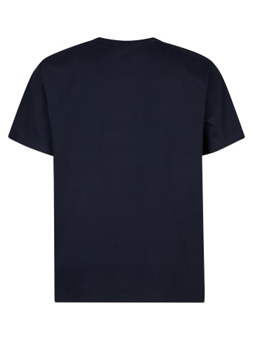 Petrol Industries T-Shirt mit Logo Limewalk in Blau