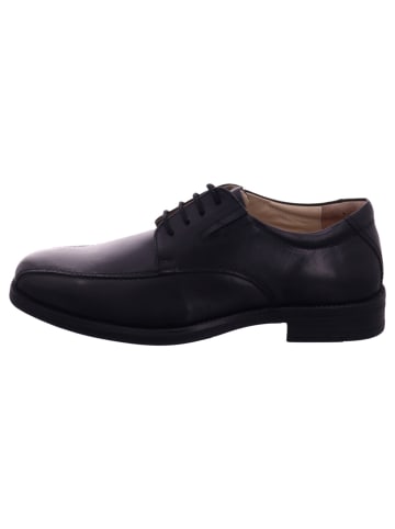 Stexx Schnürschuhe-elegant in schwarz