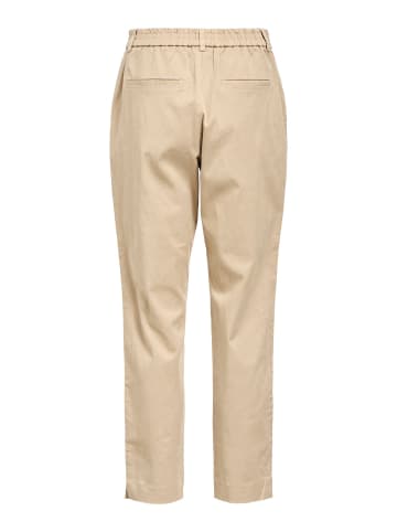 Object Chino in Humus