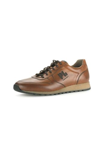 Gabor Sneaker low in braun
