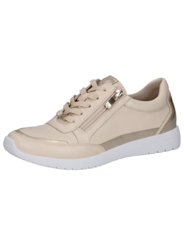 Caprice Sneaker in CREAM/GOLD