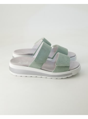 Semler Pantoletten in Grün