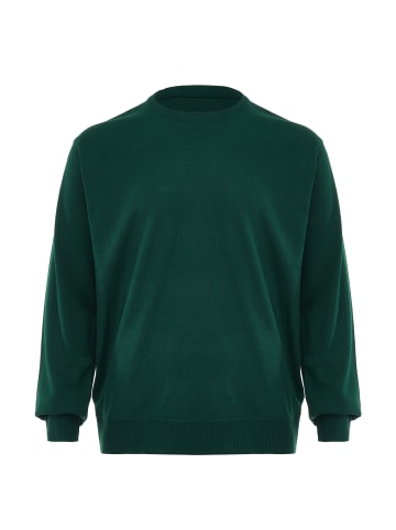 RAIDO Herren Pullover in Grün