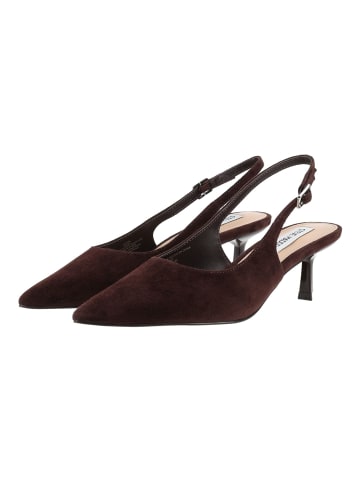 Steve Madden Pumps KORRA in Coffee