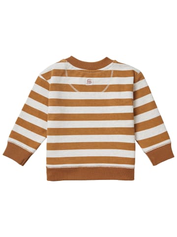 Noppies Pullover Tangarine in Chipmunk