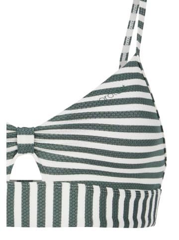 Protest " MIXSync 25 in Veggie Green