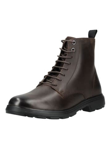 Geox Stiefelette Coffee