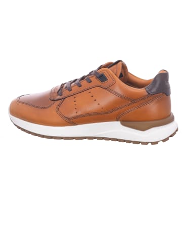 Ecco Schnürschuh in braun