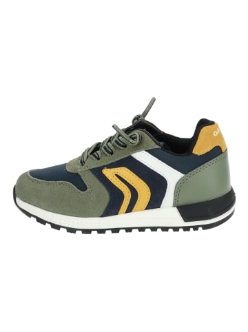 Geox Sneaker in Military