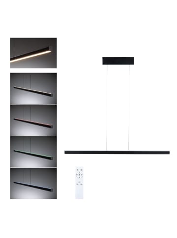 paulmann LED Pendelleuchte Lesko RGBW+ dimmbar Schwarz matt