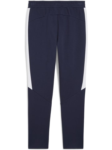 Puma Sporthose "TeamEVOSTRIPE Pants" in Blau
