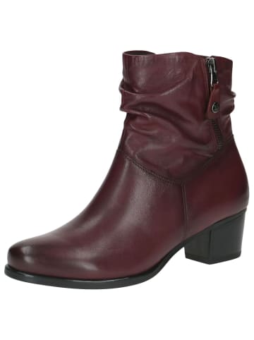 Caprice Stiefelette in BORDEAUX NAPPA