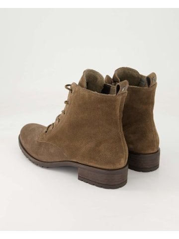Paul Green Schnürstiefeletten in Braun