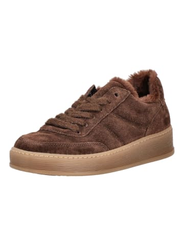 Gabor Sneaker in Cacao
