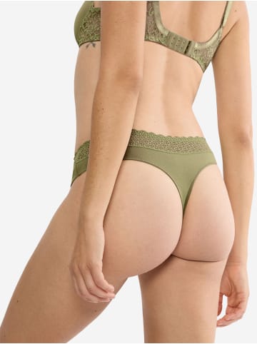 Triumph String Red Label Feel of Modal in Olive Gold