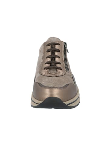 Solidus Freizeit Schnürer für Damen in gold