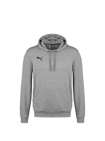 Puma Kapuzenpullover teamGOAL 23 Casuals in grau