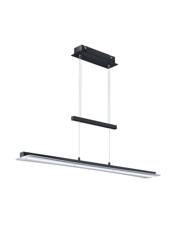 Licht-Erlebnisse Pendelleuchte EEK E (B)12 x (L)100 x (T)150 cm in Schwarz Weiß