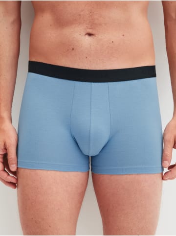 Calida New Boxer in glacier lake