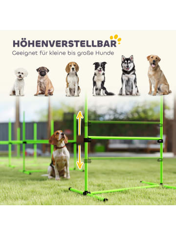 Pawhut Hunde Agility Set Grün Kunststoff
