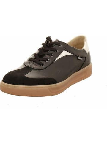 Finn Comfort Sneaker für Herren in kombi