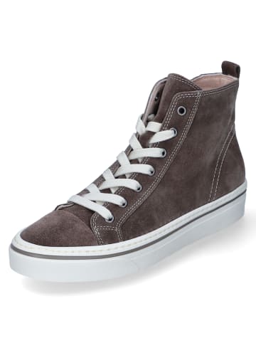 Gabor High Sneaker in Braun