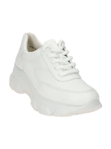 Paul Green Sportliche Schnürschuhe in Weiß