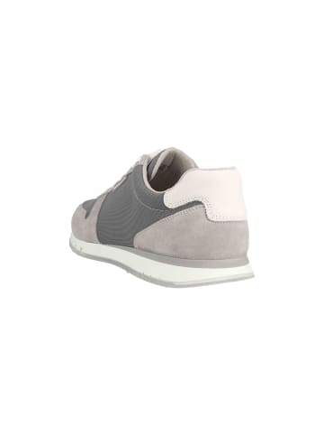 Pius Gabor Sneaker in Grau