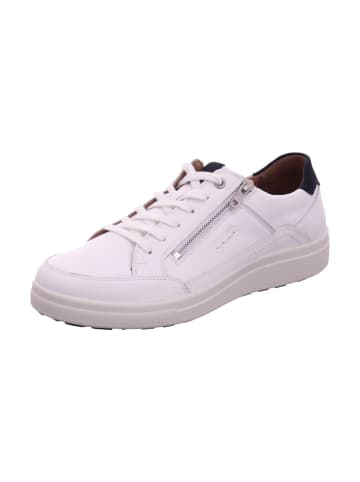 Josef Seibel Herrenschnürschuhe halb sportlicher Boden ( Standard ) Sneaker in  Weiß