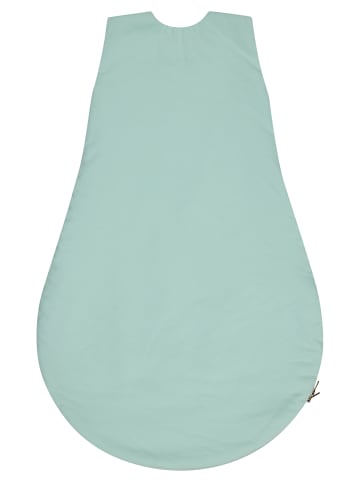 Sterntaler Babyschlafsack 50/56 BÄR Bo in helles grün